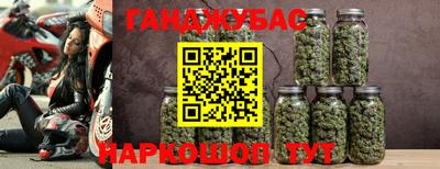 прущие крисы Шебекино