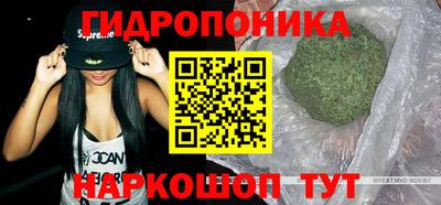 прущие крисы Шебекино