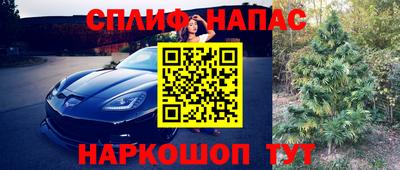 прущие крисы Шебекино