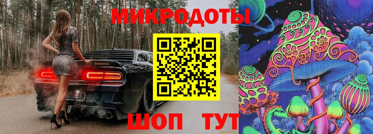 Кингисепп  Галлюциногенные грибы GOLDEN TEACHER  Вход с VPN  Галлюциногенные грибы прущие грибы 
