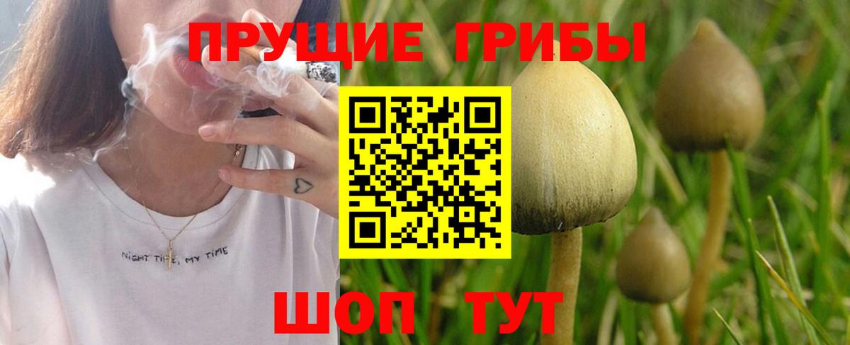 Псилоцибиновые грибы MAGIC MUSHROOMS Кингисепп